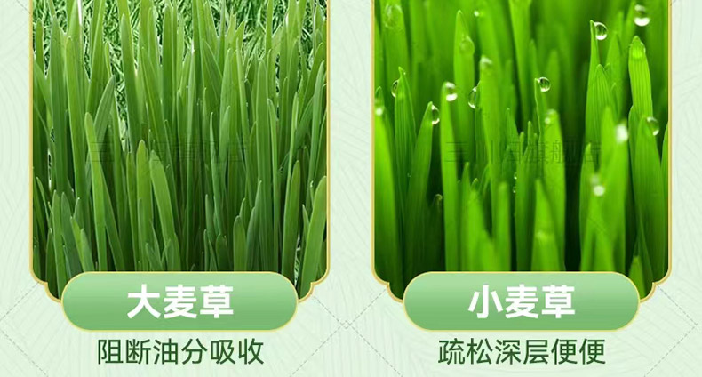 4丽芙玉素2.jpg